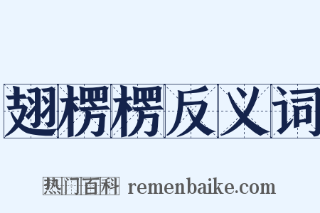 翅楞楞反义词是什么意思的图片